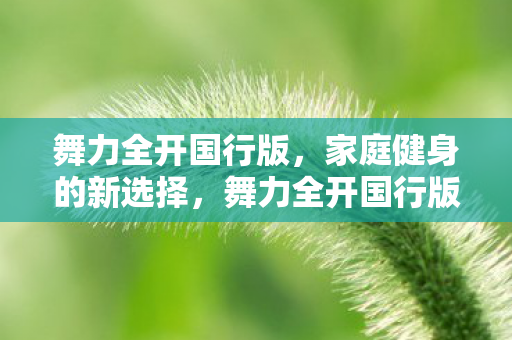 家庭健身的新选择图片