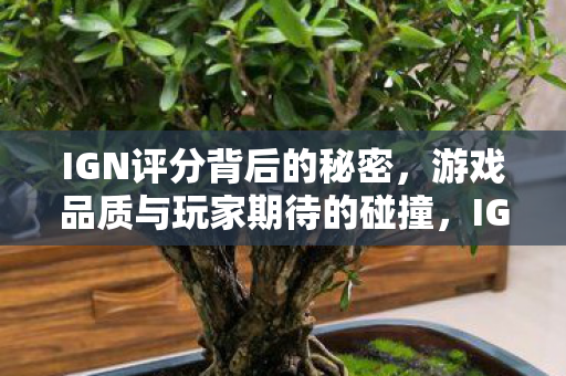 IGN评分背后的秘密,游戏品质与玩家期待的碰撞,IGN评分背后的秘密,游戏品质与玩家期待的碰撞 IGN评分背后的秘密,游戏品质与玩家期待的碰撞,IGN评分背后的秘密,游戏品质与玩家期待的碰撞