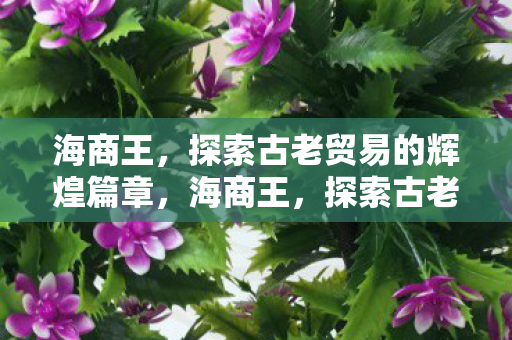 海商王,探索古老贸易的辉煌篇章,海商王,探索古老贸易的辉煌篇章 海商王,探索古老贸易的辉煌篇章,海商王,探索古老贸易的辉煌篇章