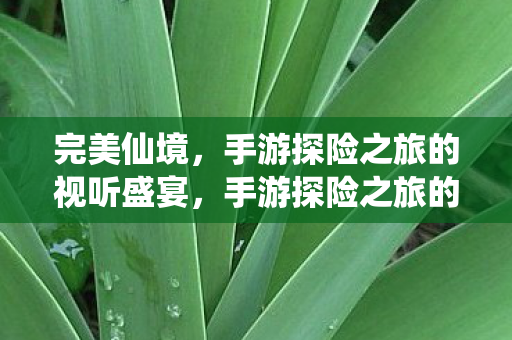 完美仙境,手游探险之旅的视听盛宴,手游探险之旅的视觉盛宴,完美仙境 完美仙境,手游探险之旅的视听盛宴,手游探险之旅的视觉盛宴,完美仙境