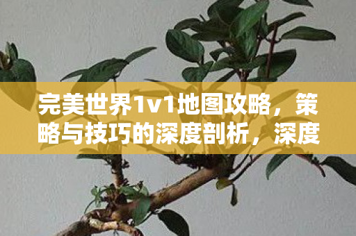 完美世界1v1地图攻略,策略与技巧的深度剖析,深度剖析,完美世界1v1地图攻略与策略技巧 完美世界1v1地图攻略,策略与技巧的深度剖析,深度剖析,完美世界1v1地图攻略与策略技巧