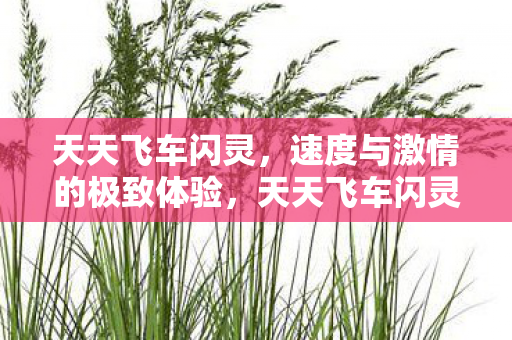 速度与激情的极致体验图片