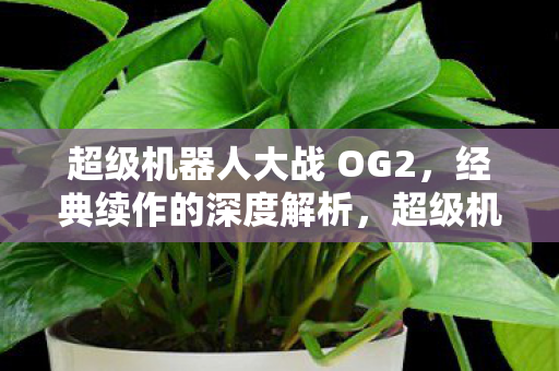 超级机器人大战 OG2,经典续作的深度解析,超级机器人大战 OG2,经典续作的深度解析 超级机器人大战 OG2,经典续作的深度解析,超级机器人大战 OG2,经典续作的深度解析