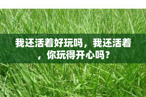我还活着好玩吗，我还活着，你玩得开心吗？