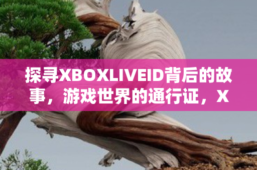 探寻XBOXLIVEID背后的故事,游戏世界的通行证,XBOXLIVEID,游戏世界的通行证揭秘 探寻XBOXLIVEID背后的故事,游戏世界的通行证,XBOXLIVEID,游戏世界的通行证揭秘
