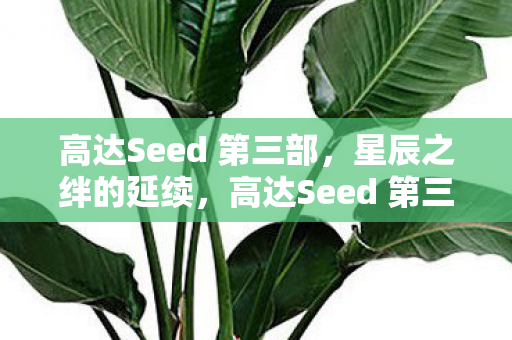 高达Seed 第三部,星辰之绊的延续,高达Seed 第三部,星辰之绊的延续 高达Seed 第三部,星辰之绊的延续,高达Seed 第三部,星辰之绊的延续