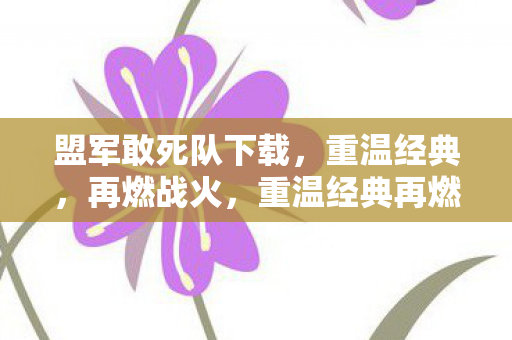 盟军敢死队下载,重温经典,再燃战火,重温经典再燃战火,盟军敢死队下载 盟军敢死队下载,重温经典,再燃战火,重温经典再燃战火,盟军敢死队下载