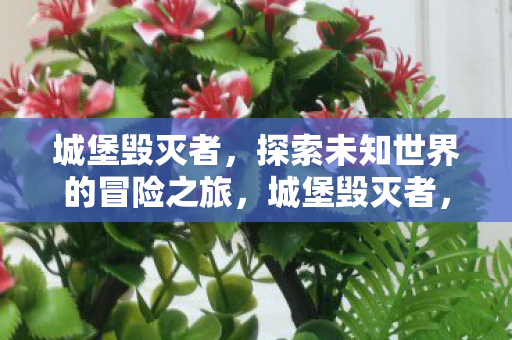 城堡毁灭者,探索未知世界的冒险之旅,城堡毁灭者,探索未知世界的冒险之旅 城堡毁灭者,探索未知世界的冒险之旅,城堡毁灭者,探索未知世界的冒险之旅