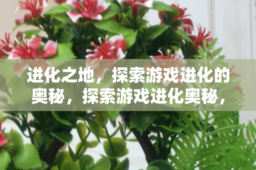 进化之地，探索游戏进化的奥秘，探索游戏进化奥秘，进化之地