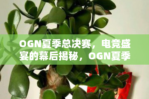 OGN夏季总决赛,电竞盛宴的幕后揭秘,OGN夏季总决赛,揭秘电竞盛宴背后的故事 OGN夏季总决赛,电竞盛宴的幕后揭秘,OGN夏季总决赛,揭秘电竞盛宴背后的故事