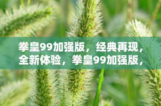 拳皇99加强版,经典再现,全新体验,拳皇99加强版,经典再现,全新体验来袭 拳皇99加强版,经典再现,全新体验,拳皇99加强版,经典再现,全新体验来袭