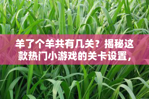 揭秘这款热门小游戏的关卡设置图片