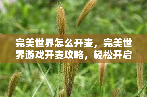 完美世界怎么开麦,完美世界游戏开麦攻略,轻松开启语音聊天功能 完美世界怎么开麦,完美世界游戏开麦攻略,轻松开启语音聊天功能