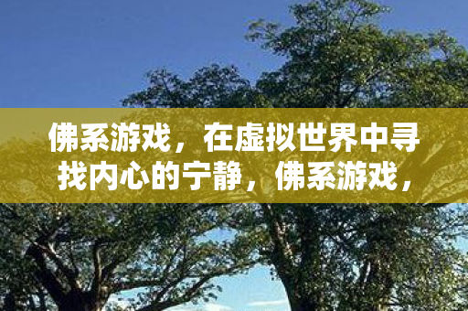 在虚拟世界中寻找内心的宁静图片