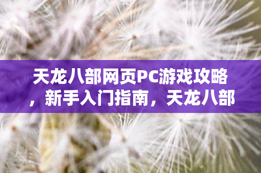 天龙八部网页PC游戏新手攻略图片