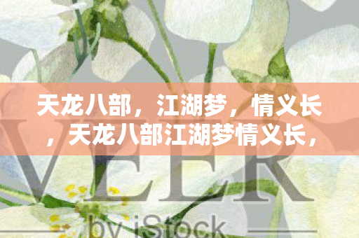 天龙八部江湖梦情义长图片