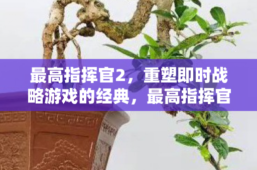 重塑即时战略游戏的经典图片