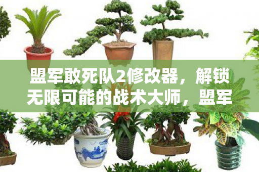 盟军敢死队2修改器,解锁无限可能的战术大师,盟军敢死队2修改器,解锁无限战术可能 盟军敢死队2修改器,解锁无限可能的战术大师,盟军敢死队2修改器,解锁无限战术可能