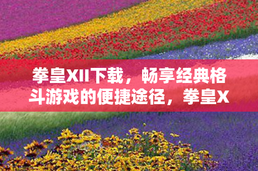 畅享经典格斗游戏的便捷途径图片