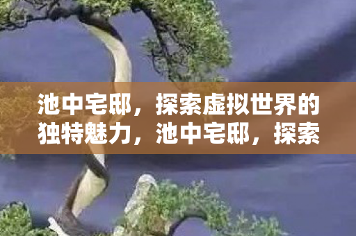 探索虚拟世界的独特魅力图片