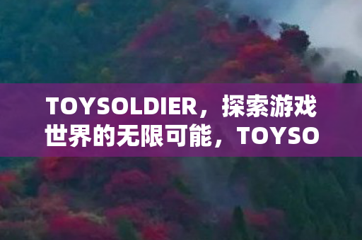 TOYSOLDIER,探索游戏世界的无限可能,TOYSOLDIER,探索游戏世界的无限可能 TOYSOLDIER,探索游戏世界的无限可能,TOYSOLDIER,探索游戏世界的无限可能