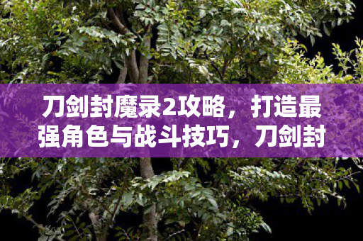 刀剑封魔录2攻略,打造最强角色与战斗技巧,刀剑封魔录2,打造最强角色与战斗技巧全攻略 刀剑封魔录2攻略,打造最强角色与战斗技巧,刀剑封魔录2,打造最强角色与战斗技巧全攻略