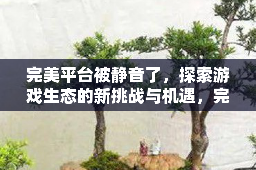 完美平台被静音了,探索游戏生态的新挑战与机遇,完美平台被静音,游戏生态的新挑战与机遇 完美平台被静音了,探索游戏生态的新挑战与机遇,完美平台被静音,游戏生态的新挑战与机遇