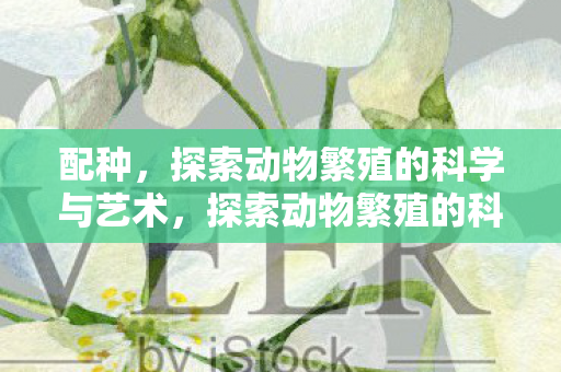 配种，探索动物繁殖的科学与艺术，探索动物繁殖的科学与艺术，揭秘配种过程