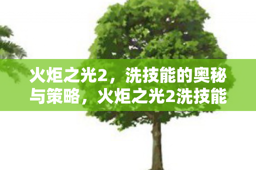 火炬之光2,洗技能的奥秘与策略,火炬之光2洗技能奥秘与策略全解析 火炬之光2,洗技能的奥秘与策略,火炬之光2洗技能奥秘与策略全解析