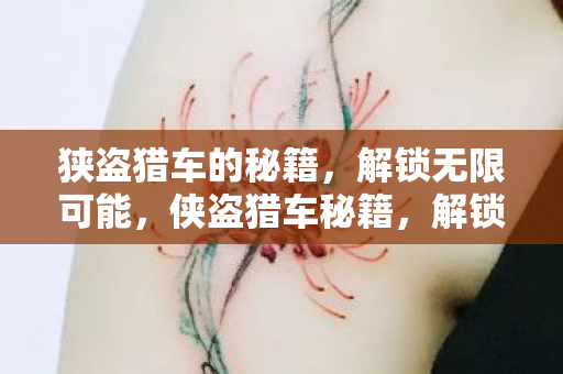 狭盗猎车的秘籍图片