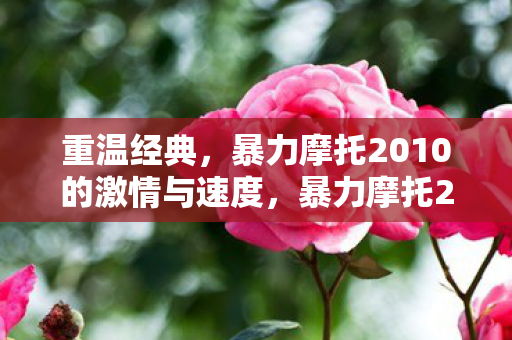 暴力摩托2010的激情与速度图片