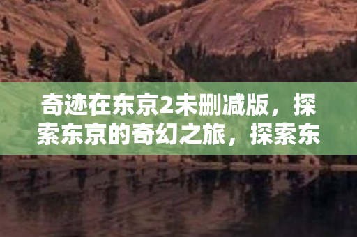 奇迹在东京2未删减版图片
