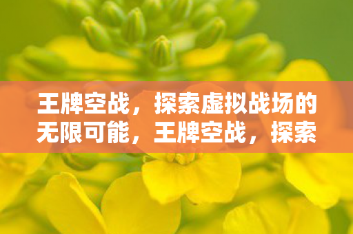 王牌空战，探索虚拟战场的无限可能，王牌空战，探索虚拟战场的无限可能