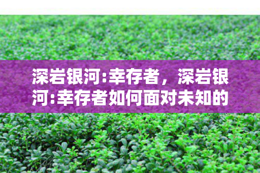 深岩银河:幸存者,深岩银河:幸存者如何面对未知的挑战? 深岩银河:幸存者,深岩银河:幸存者如何面对未知的挑战?