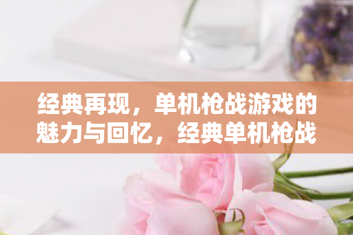 经典再现，单机枪战游戏的魅力与回忆，经典单机枪战游戏，回忆与魅力的永恒篇章