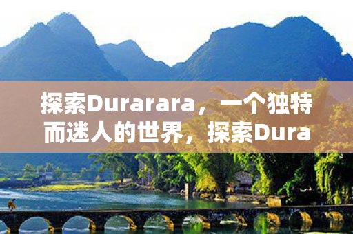 探索Durarara的独特魅力图片