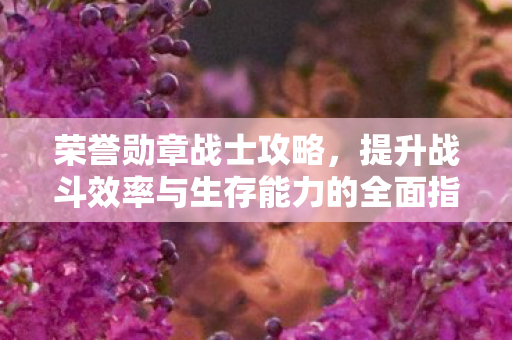 提升战斗效率与生存能力的全面指南图片
