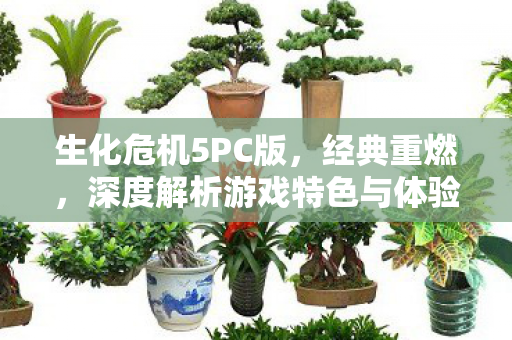 生化危机5PC版,经典重燃,深度解析游戏特色与体验,生化危机5PC版,经典重燃,深度解析游戏特色与体验 生化危机5PC版,经典重燃,深度解析游戏特色与体验,生化危机5PC版,经典重燃,深度解析游戏特色与体验