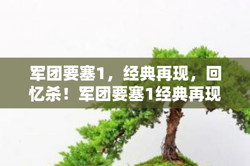 军团要塞1经典再现图片