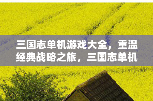 三国志单机游戏大全图片