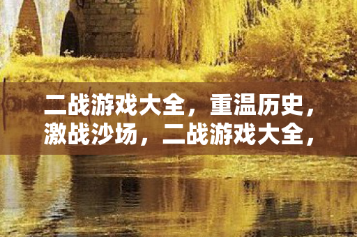 二战游戏大全图片