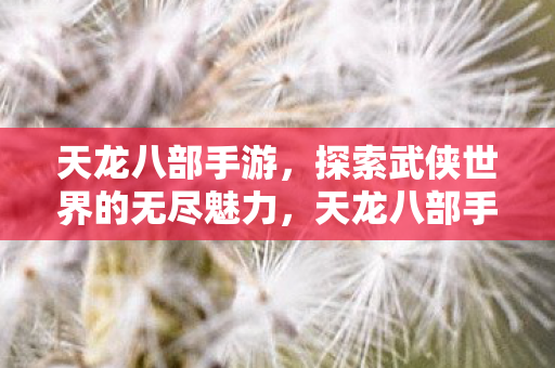 探索武侠世界的无尽魅力图片