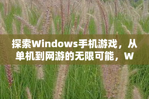 探索Windows手机游戏图片