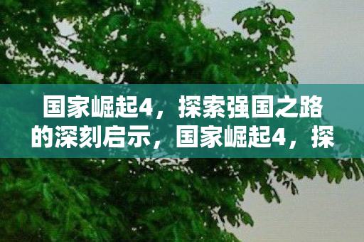 探索强国之路的深刻启示图片