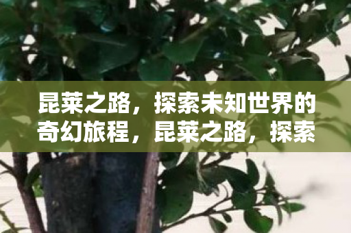 探索未知世界的奇幻旅程图片