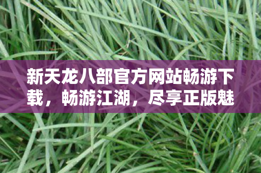 新天龙八部官方网站畅游下载图片