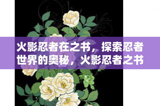揭秘忍者世界的神秘面纱图片