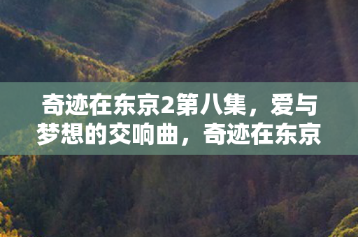 奇迹在东京2第八集图片