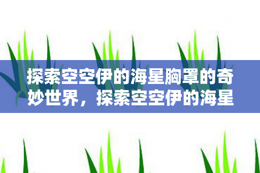探索空空伊的海星胸罩的奇妙世界，探索空空伊的海星胸罩的奇妙世界