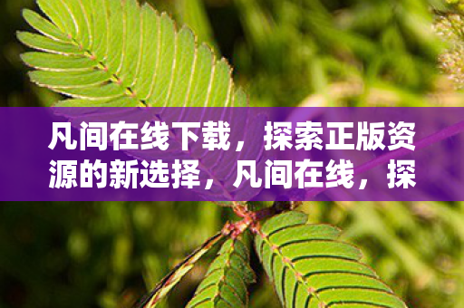 凡间在线下载，探索正版资源的新选择，凡间在线，探索正版资源的新选择